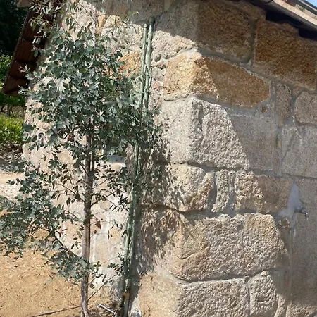 Villa Quinta De Passinhos *