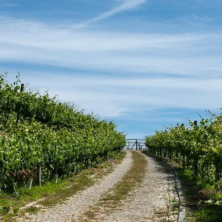 Quinta De Passinhos Villa *