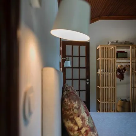 Villa Quinta De Passinhos Penafiel