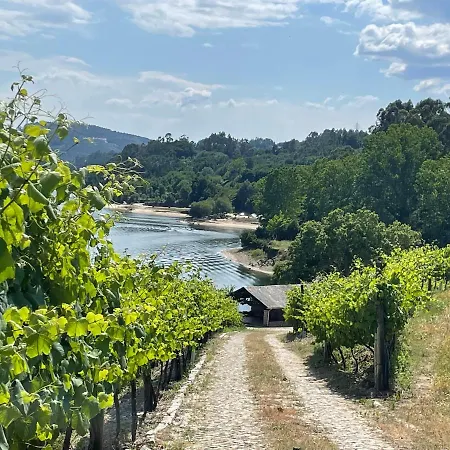 Quinta De Passinhos Villa