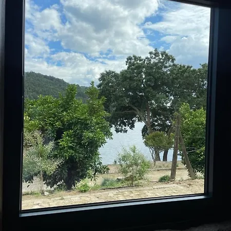 Villa Quinta De Passinhos Penafiel