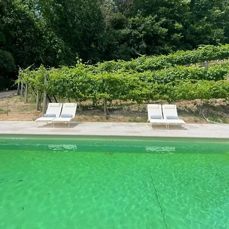 Quinta De Passinhos Villa